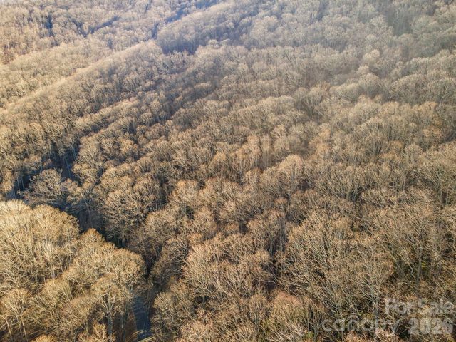 00 Wildflower Cove Road 18, Swannanoa, NC 28778