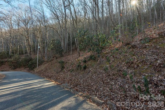 00 Wildflower Cove Road 18, Swannanoa, NC 28778