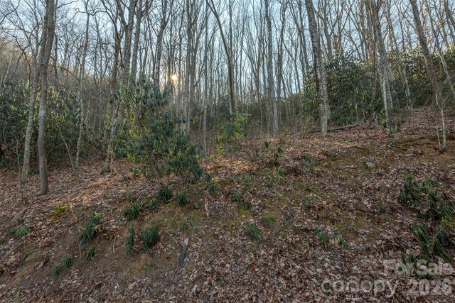 00 Wildflower Cove Road 18, Swannanoa, NC 28778