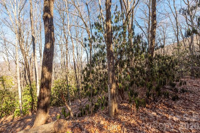 00 Wildflower Cove Road 18, Swannanoa, NC 28778