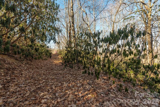 00 Wildflower Cove Road 18, Swannanoa, NC 28778