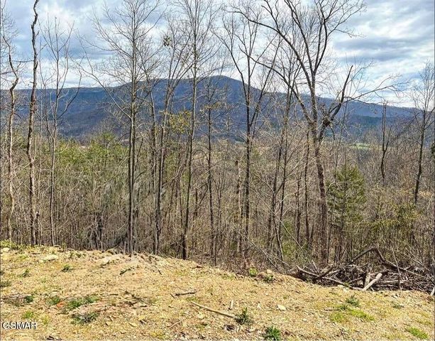0 Quail Way, Sevierville, TN 37862