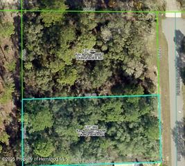 Lot 2 Kingfisher Road, Weeki Wachee, FL 34614