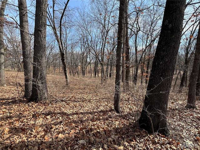 0 Deer Run Road, Elsberry, MO 63343