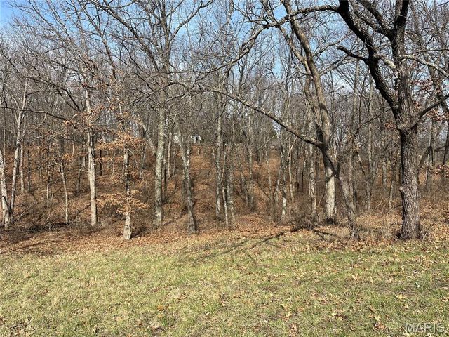 0 Deer Run Road, Elsberry, MO 63343