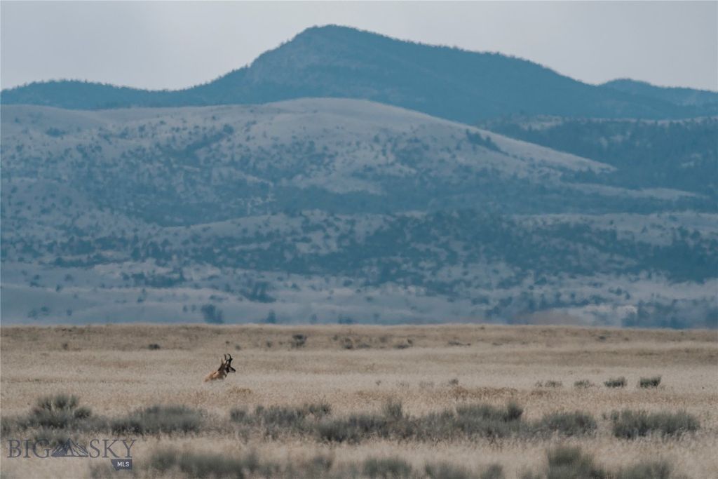 TBD Bradley Road, Toston, MT 59643 photo 16
