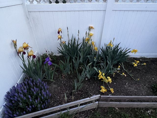 2854 Adara Ln, Nashville, TN 37211