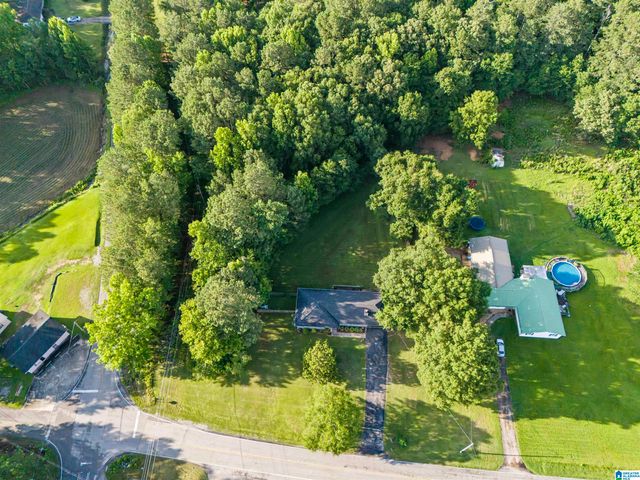 33 CEDAR SPRINGS DRIVE, Jacksonville, AL 36265