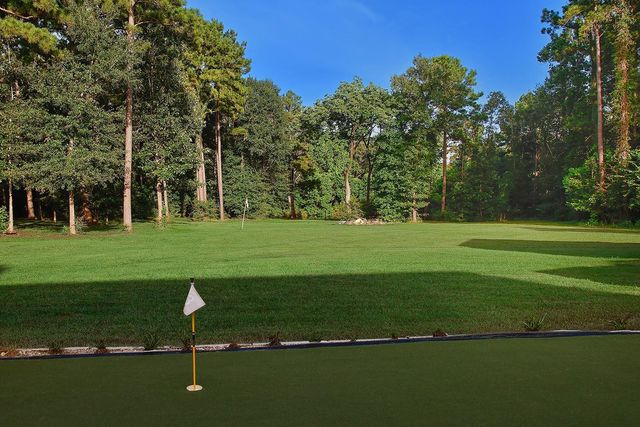 1817 Saint Beulah Chapel Road, Montgomery, TX 77316