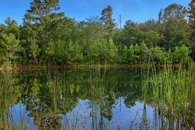 1817 Saint Beulah Chapel Road, Montgomery, TX 77316