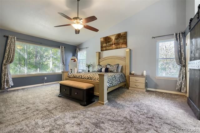 4969 Golden Valley Trail, Castle Rock, CO 80109
