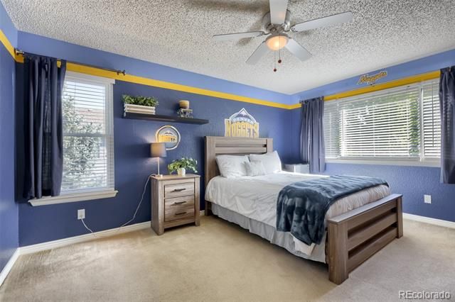 4969 Golden Valley Trail, Castle Rock, CO 80109