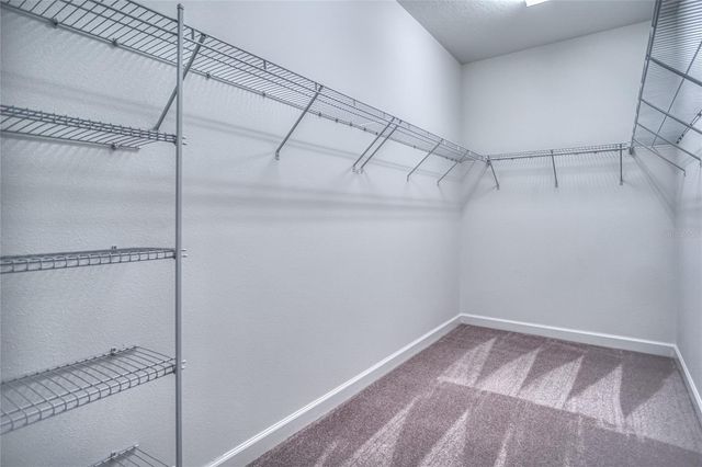 1212 MONTGOMERY BELL ROAD, Wesley Chapel, FL 33543
