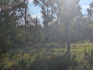 N/A Andrews Road, Tawas City, MI 48763