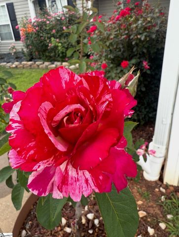 5 Rivereen Way, Simpsonville, SC 29680