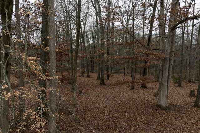 2103 Castelow, Greenbrier, TN 37073