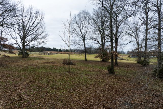 2103 Castelow, Greenbrier, TN 37073