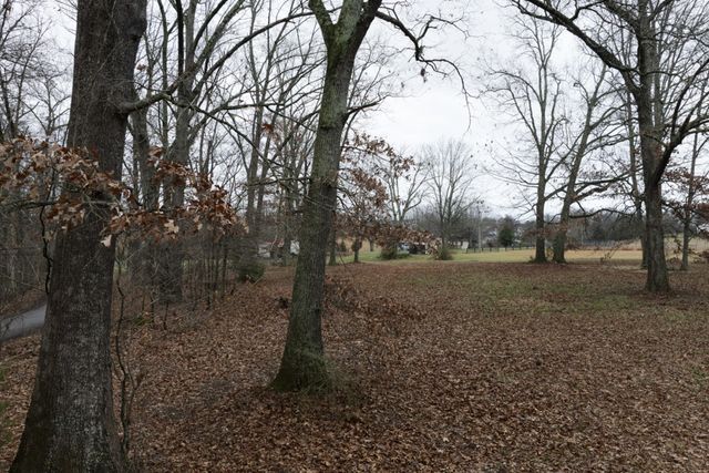 2103 Castelow, Greenbrier, TN 37073