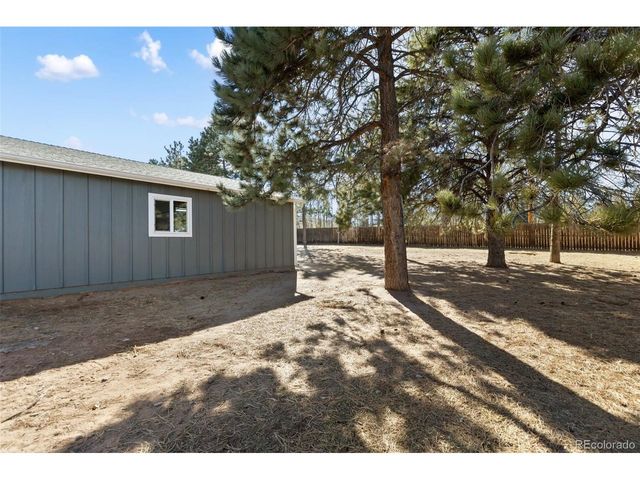 1220 Sundance St, Woodland Park, CO 80863