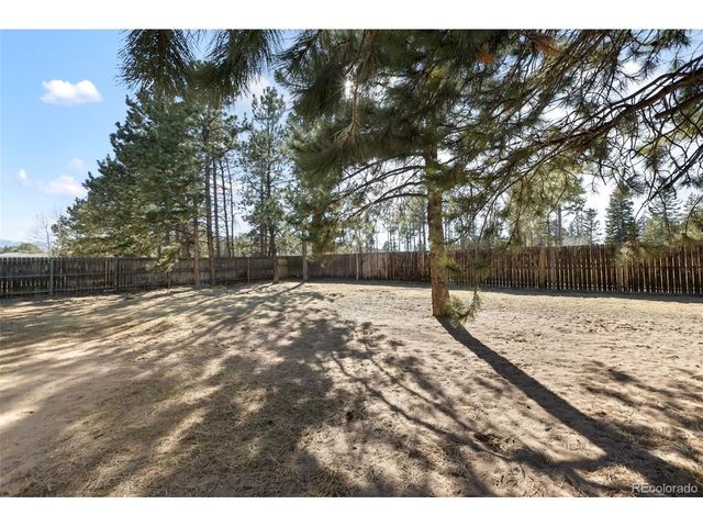 1220 Sundance St, Woodland Park, CO 80863