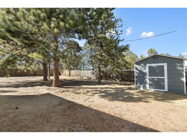 1220 Sundance St, Woodland Park, CO 80863