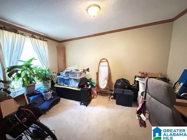 321 FRIENDSHIP ROAD, Springville, AL 35146