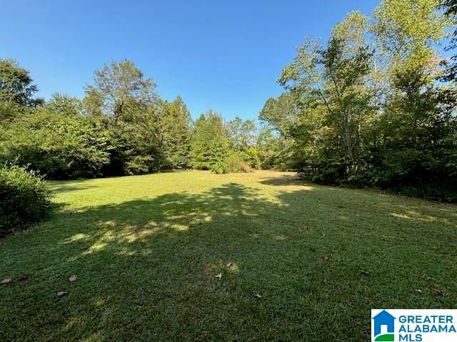 321 FRIENDSHIP ROAD, Springville, AL 35146