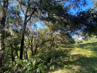 7373 E SAVANNAH COURT, Floral City, FL 34436