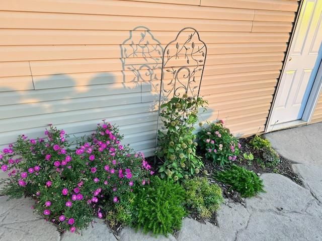 1021 167th Street, Hammond, WI 54015