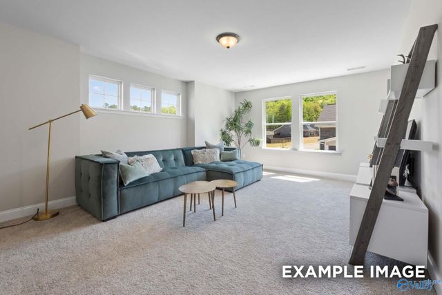 7525 Speckle Belly Boulevard, Owens Cross Roads, AL 35763