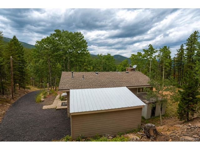 8680 London Ln, Conifer, CO 80433