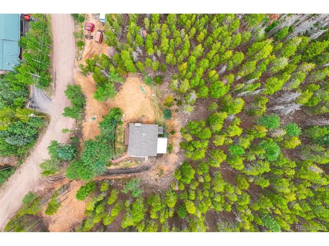 8680 London Ln, Conifer, CO 80433