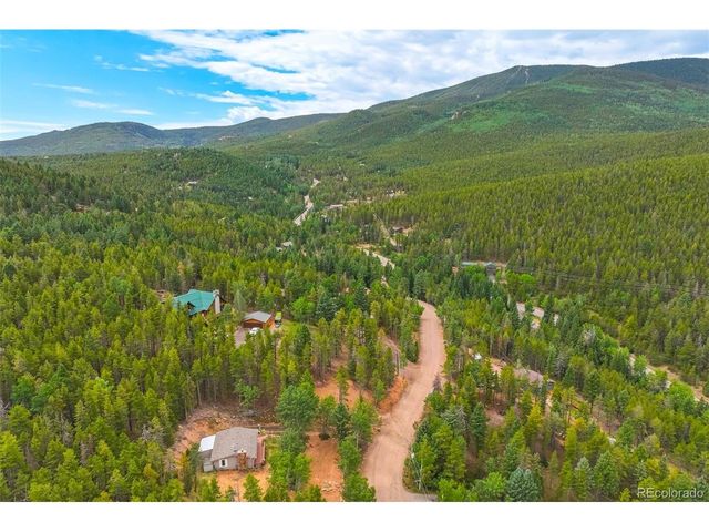 8680 London Ln, Conifer, CO 80433