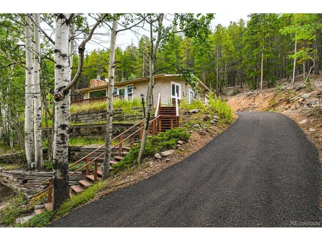 8680 London Ln, Conifer, CO 80433