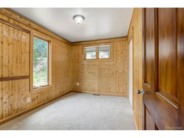 8680 London Ln, Conifer, CO 80433