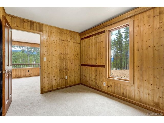 8680 London Ln, Conifer, CO 80433