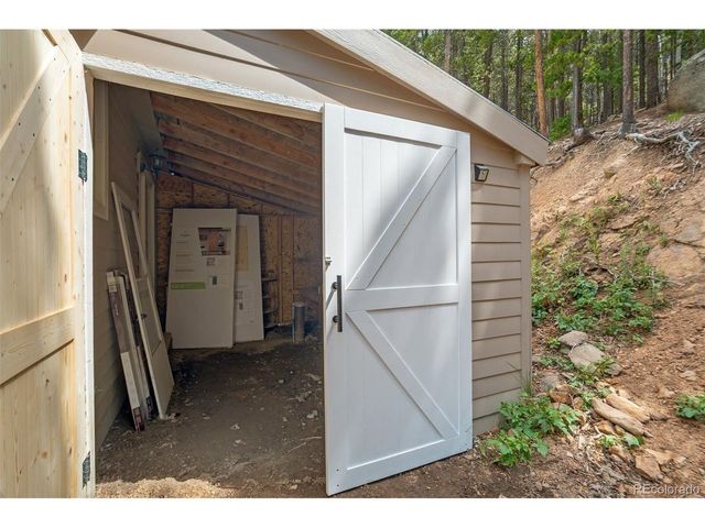 8680 London Ln, Conifer, CO 80433