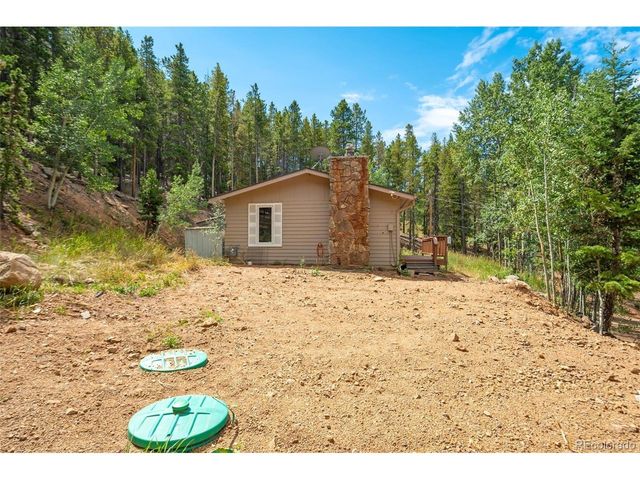 8680 London Ln, Conifer, CO 80433