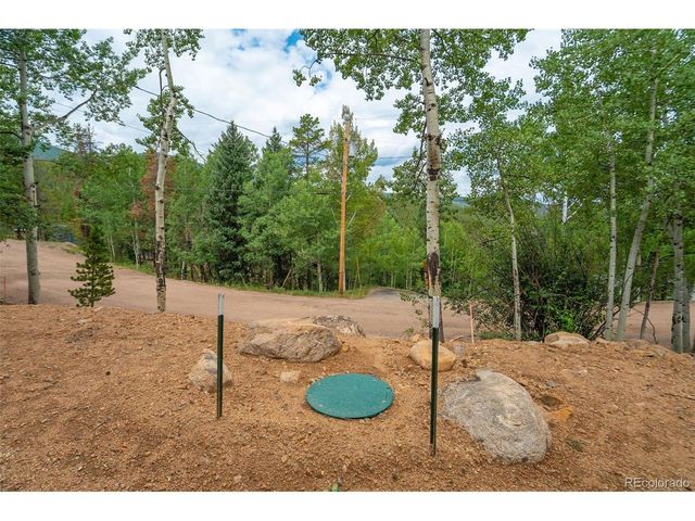 8680 London Ln, Conifer, CO 80433