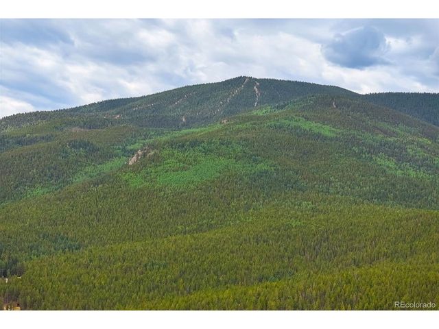 8680 London Ln, Conifer, CO 80433