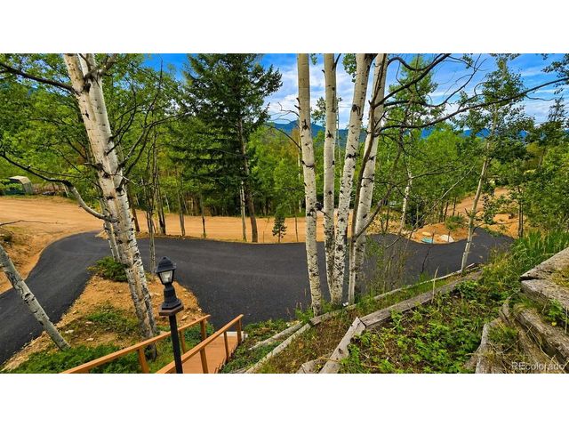 8680 London Ln, Conifer, CO 80433