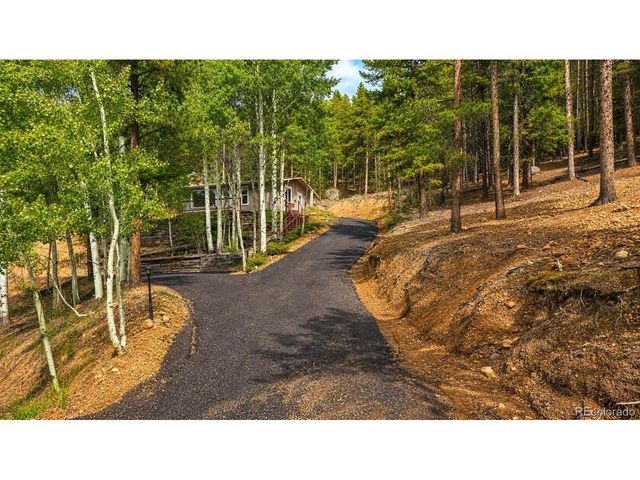 8680 London Ln, Conifer, CO 80433