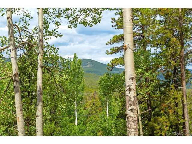 8680 London Ln, Conifer, CO 80433