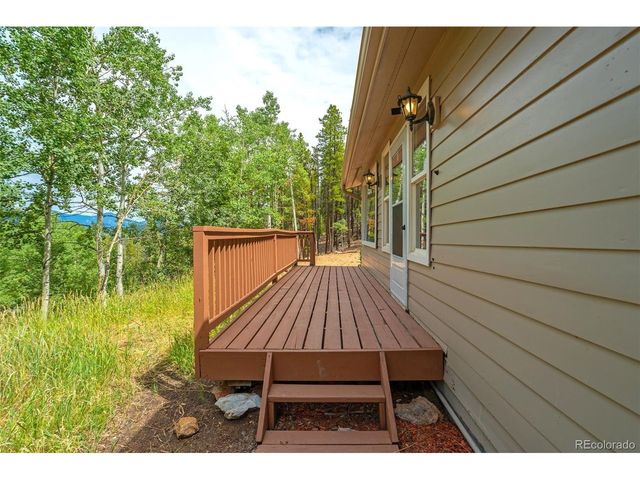 8680 London Ln, Conifer, CO 80433