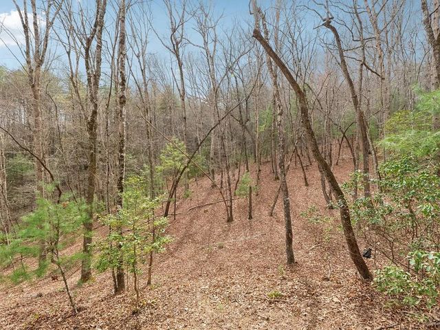 265 Wits End Way, Cherry Log, GA 30522