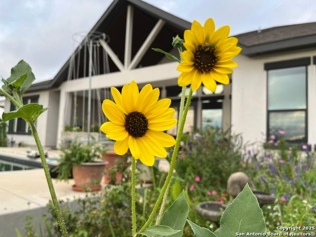 191 Crane Cir, Spring Branch, TX 78070