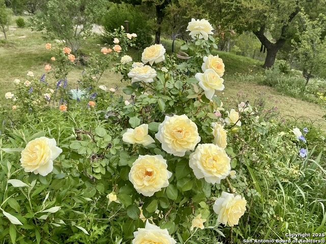 191 Crane Cir, Spring Branch, TX 78070