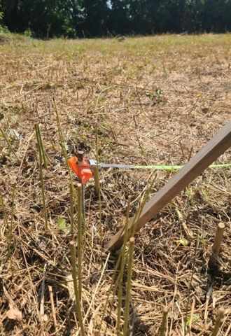 3218 Claibourne Boulevard, Dallas, TX 75212