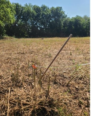 3218 Claibourne Boulevard, Dallas, TX 75212