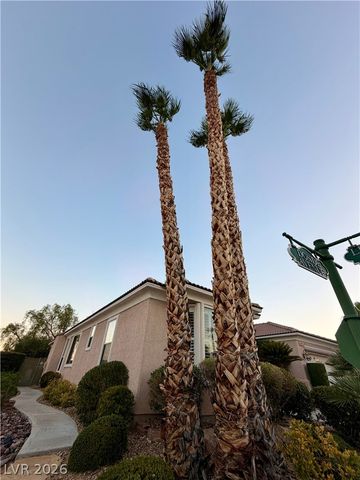 10227 Donde Avenue, Las Vegas, NV 89135